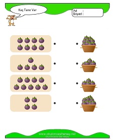 Kaç Tane Var Çalışma Sayfaları